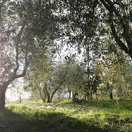Villa Sofia Eden&Spa Gaiole in Chianti Exterior foto
